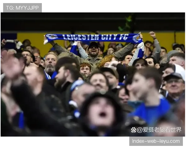 布莱顿0-2不敌热刺，遭遇联赛四连败